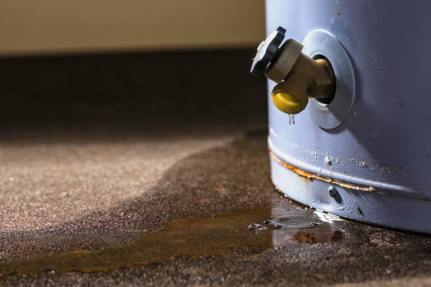 Best Professional water damage repair  in Brocton, NY