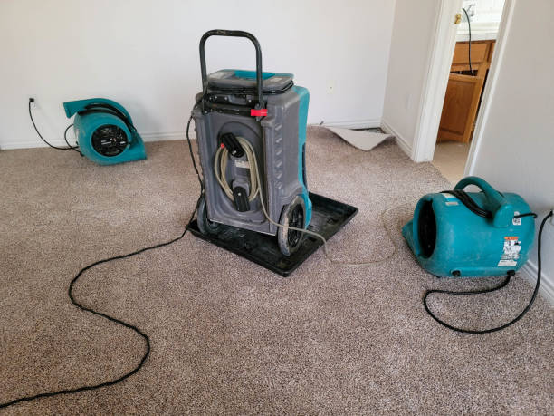 Best Water damage restoration process  in Brocton, NY