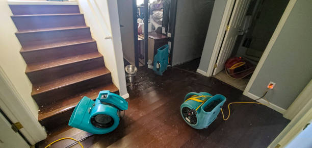 Water damage restoration process in Brocton, NY
