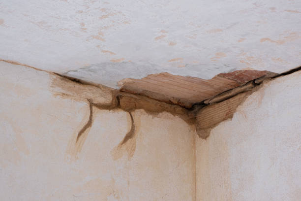 Brocton, NY Water damage restoration Company