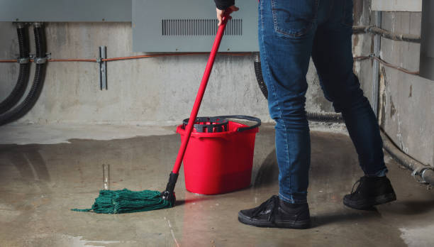 Best Basement water damage restoration  in Brocton, NY
