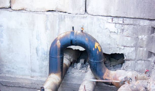 Best Flooded house restoration  in Brocton, NY