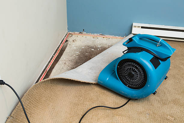Best Residential water damage restoration  in Brocton, NY