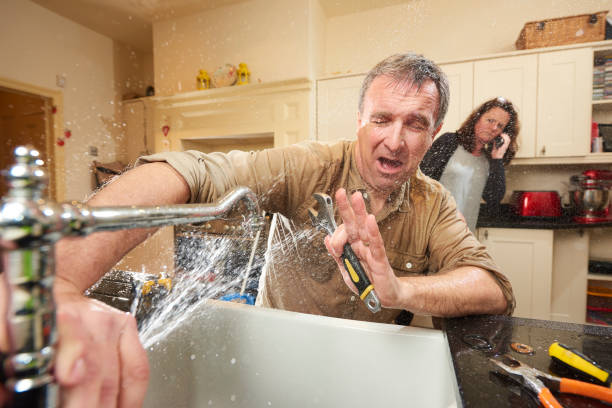 Best Flood restoration services  in Brocton, NY
